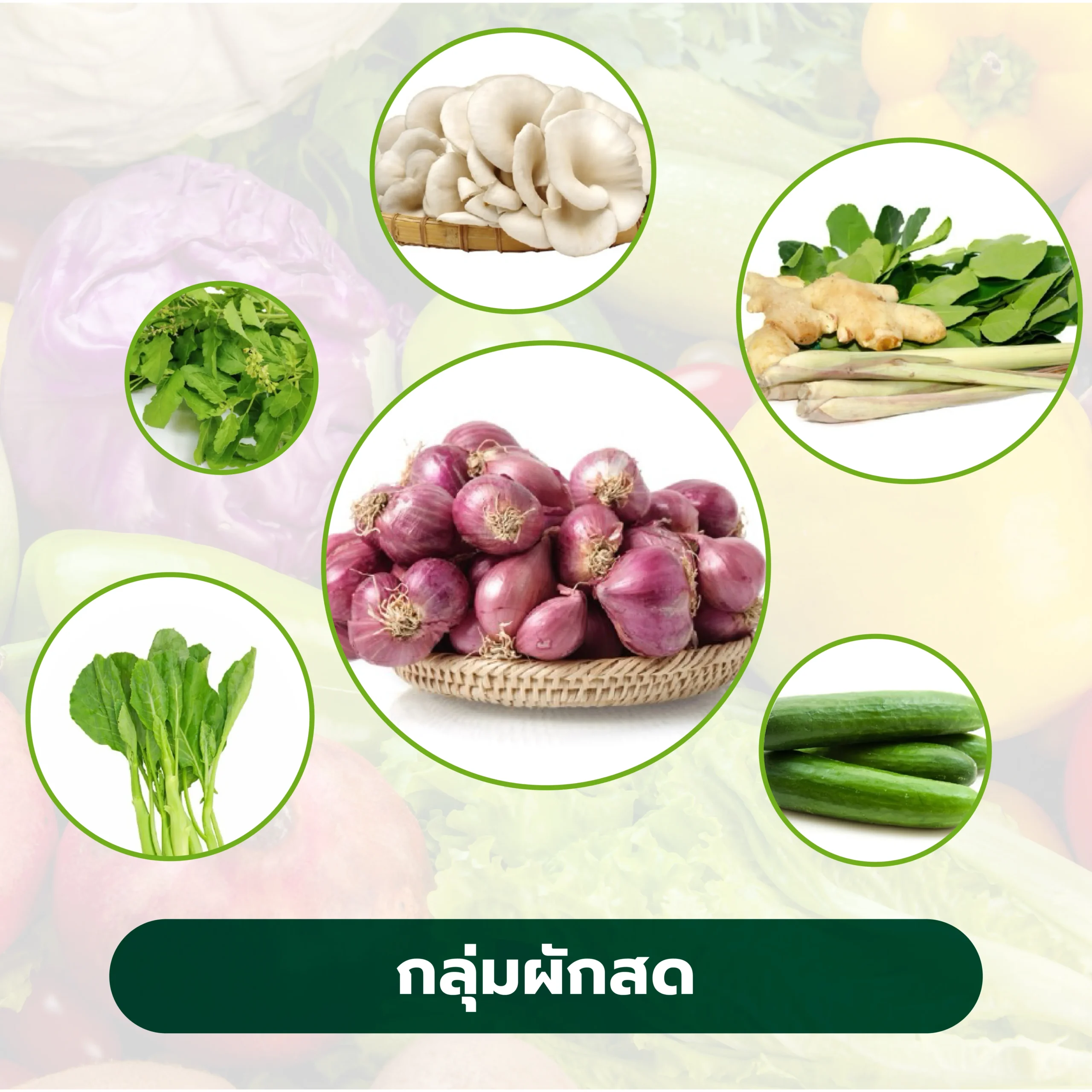 กลุ่มผักสด